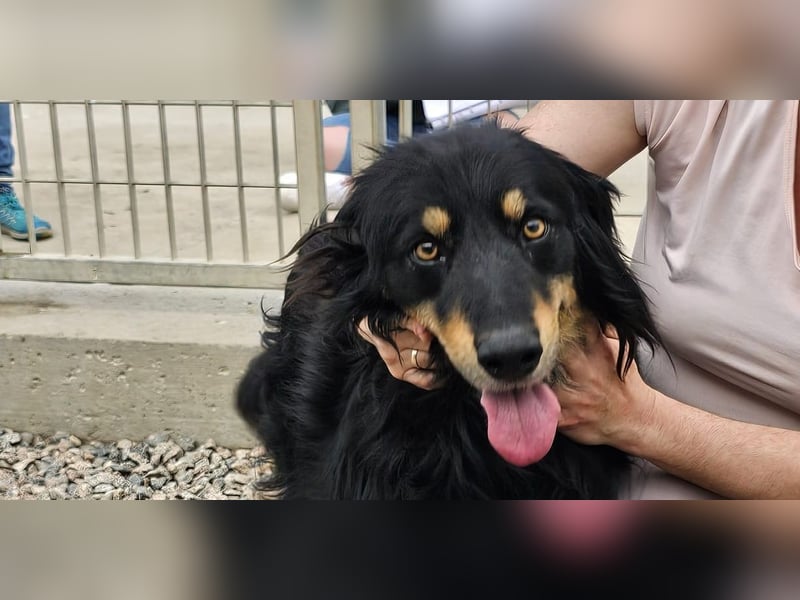 Mel -offen, menschenbezogen, aktiv