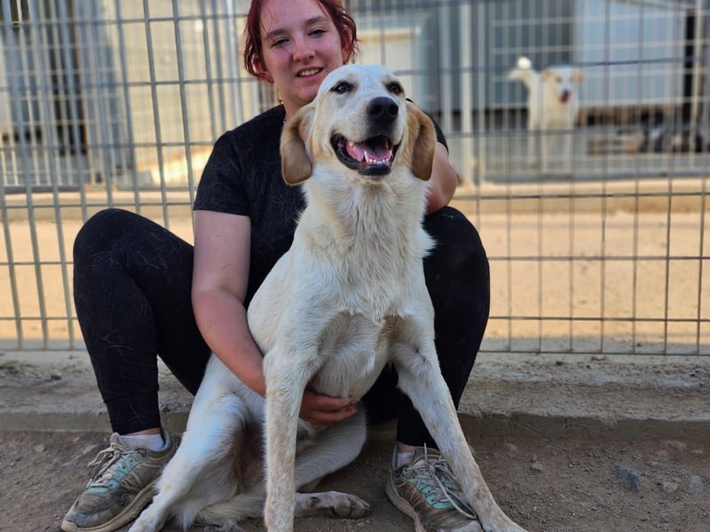 Paulette - das Tierheim fordert seinen Tribut