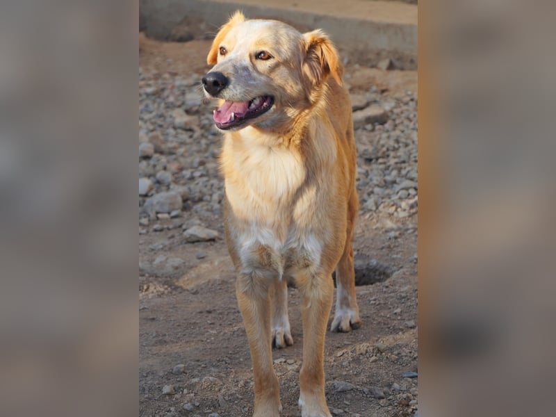 Ziguli - auf dem Weg ins Leben