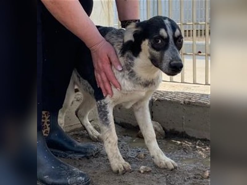 Mig - Wunder gesucht