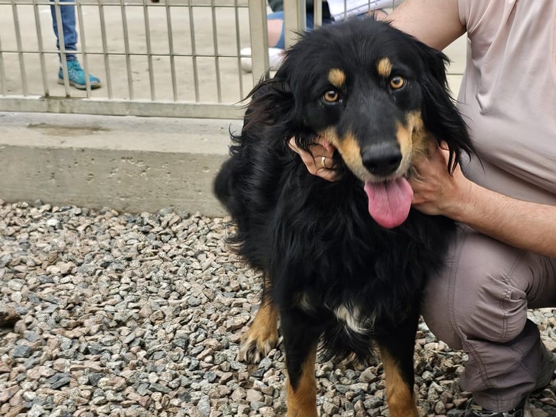 Mel -offen, menschenbezogen, aktiv