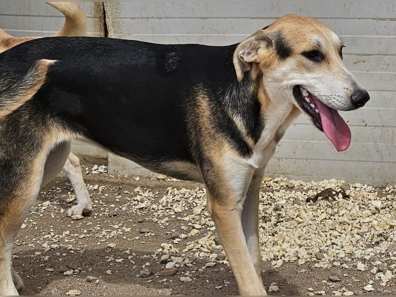 Roxy - mein Köfferchen ist schon gepackt