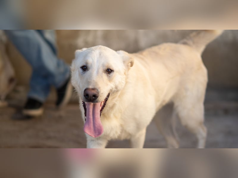 Xander - ein 6`er im Lotto