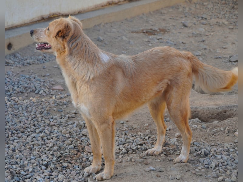 Ziguli - auf dem Weg ins Leben