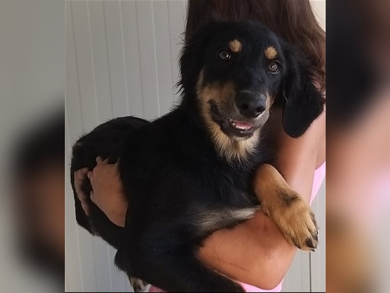 Mel - braucht nochmal Glück