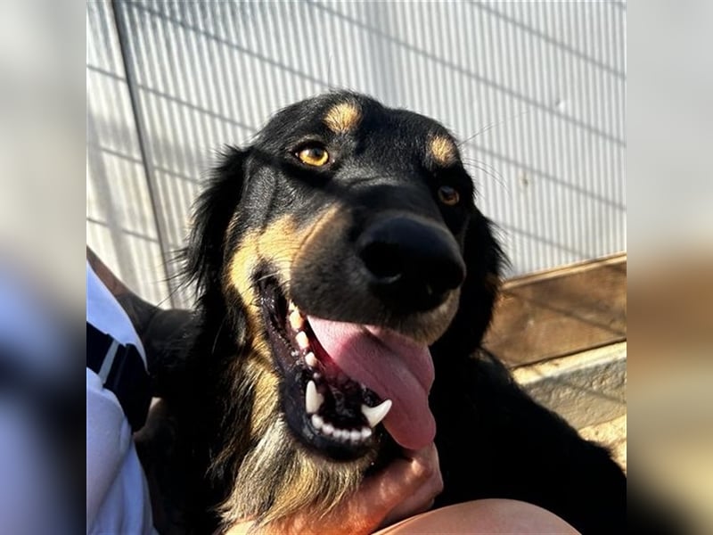 Mel - braucht nochmal Glück