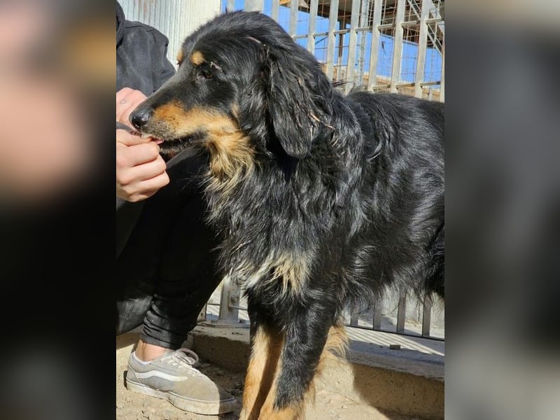 Mel -offen, menschenbezogen, aktiv