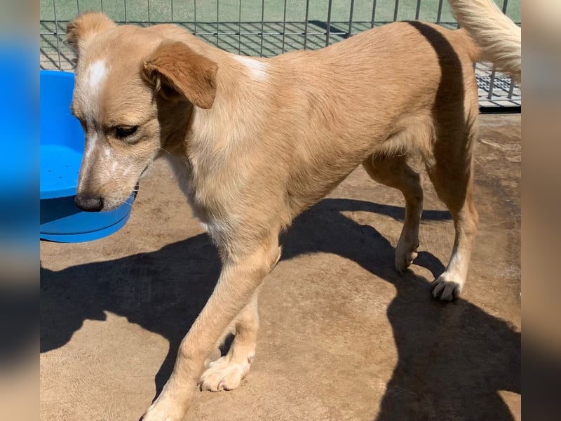 Ziguli - auf dem Weg ins Leben