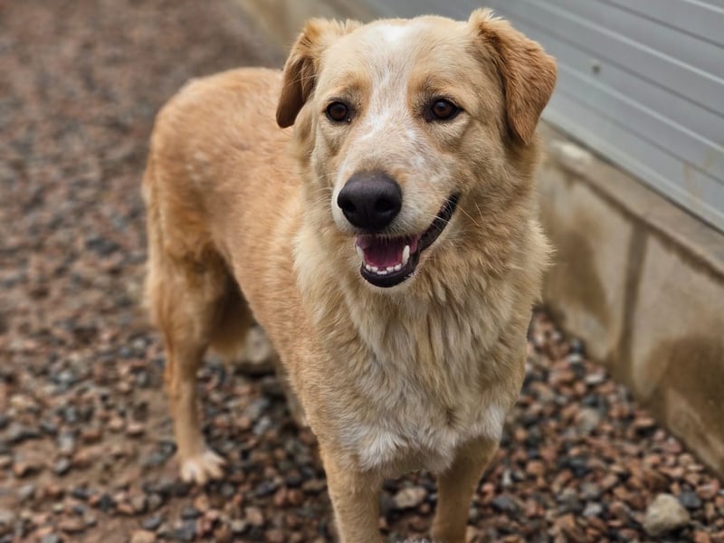 Ziguli - auf dem Weg ins Leben