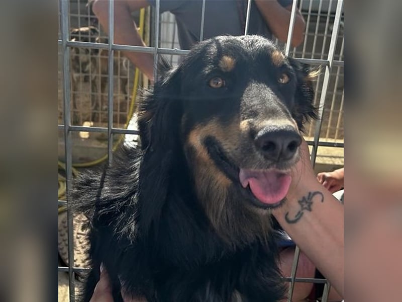 Mel - braucht nochmal Glück