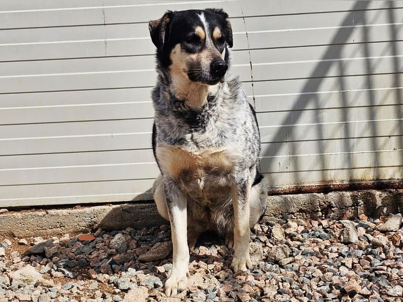 Mig - Wunder gesucht