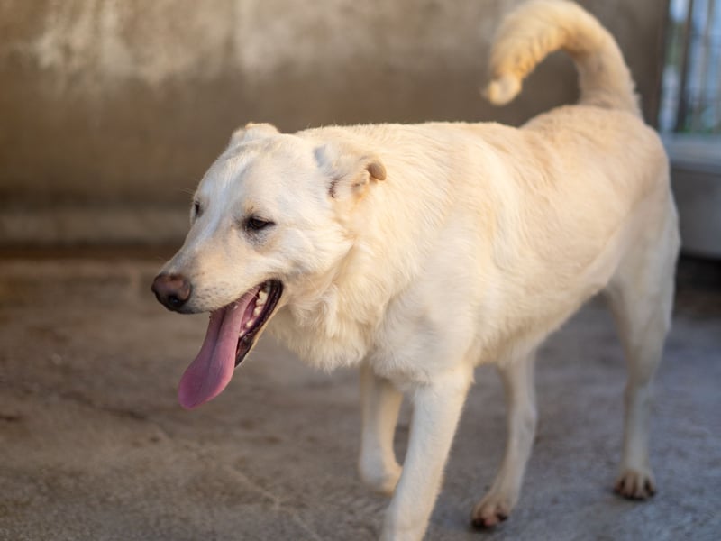 Xander - ein 6`er im Lotto