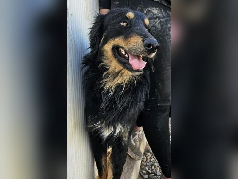 Mel -offen, menschenbezogen, aktiv