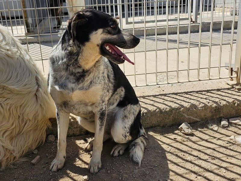 Mig - Wunder gesucht