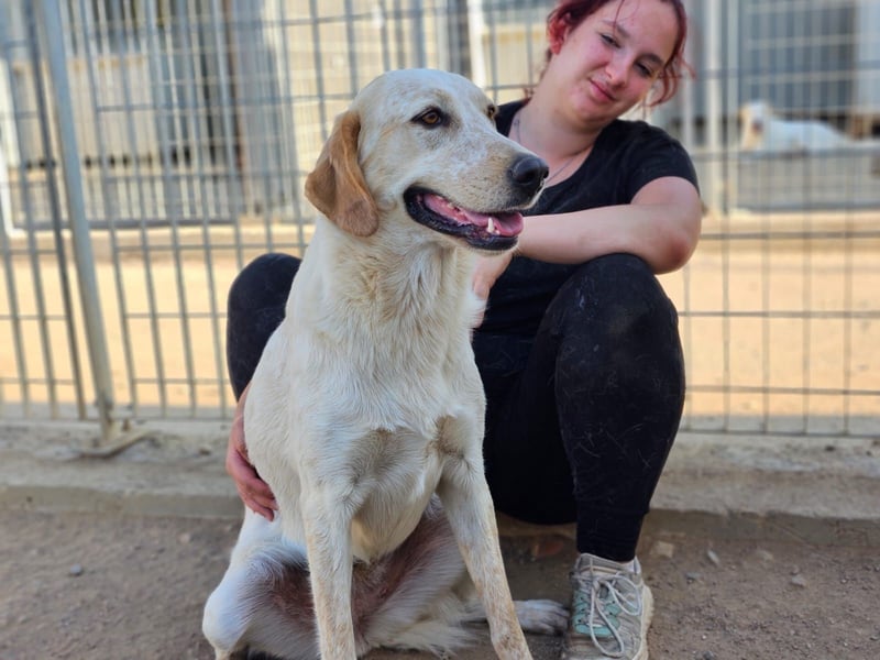 Paulette - das Tierheim fordert seinen Tribut