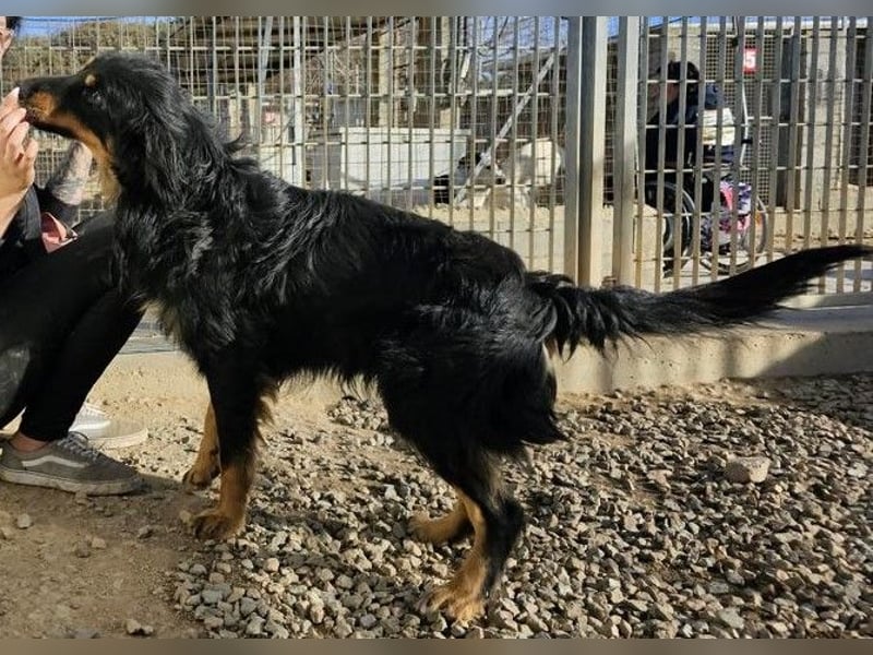 Mel -offen, menschenbezogen, aktiv