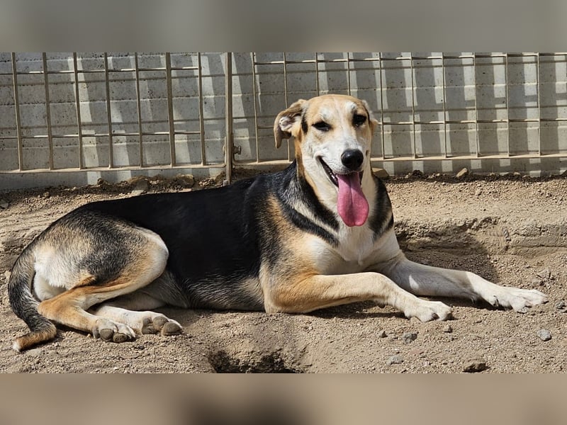 Roxy - mein Köfferchen ist schon gepackt
