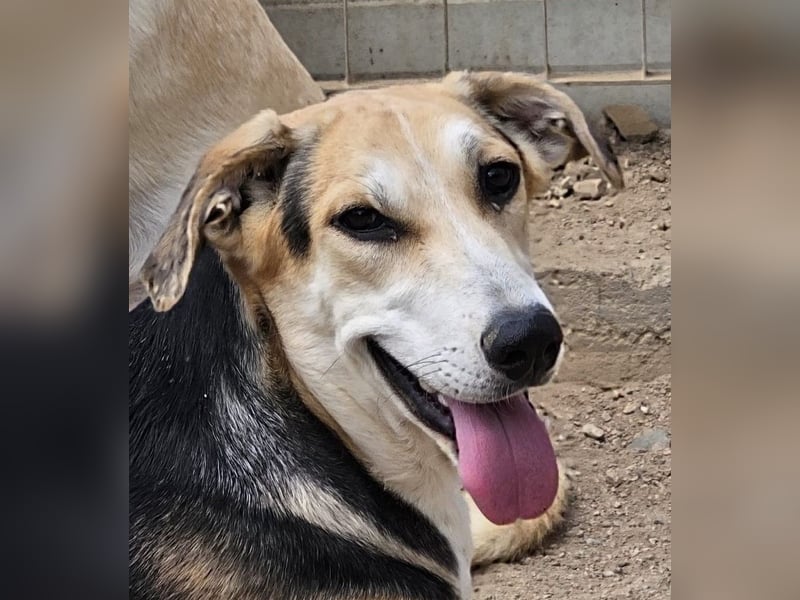 Roxy - mein Köfferchen ist schon gepackt