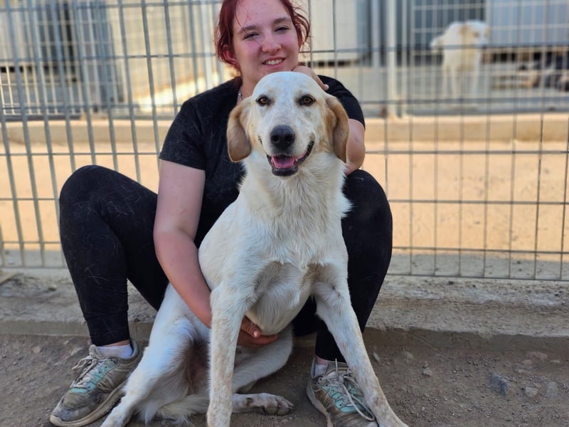 Paulette - das Tierheim fordert seinen Tribut