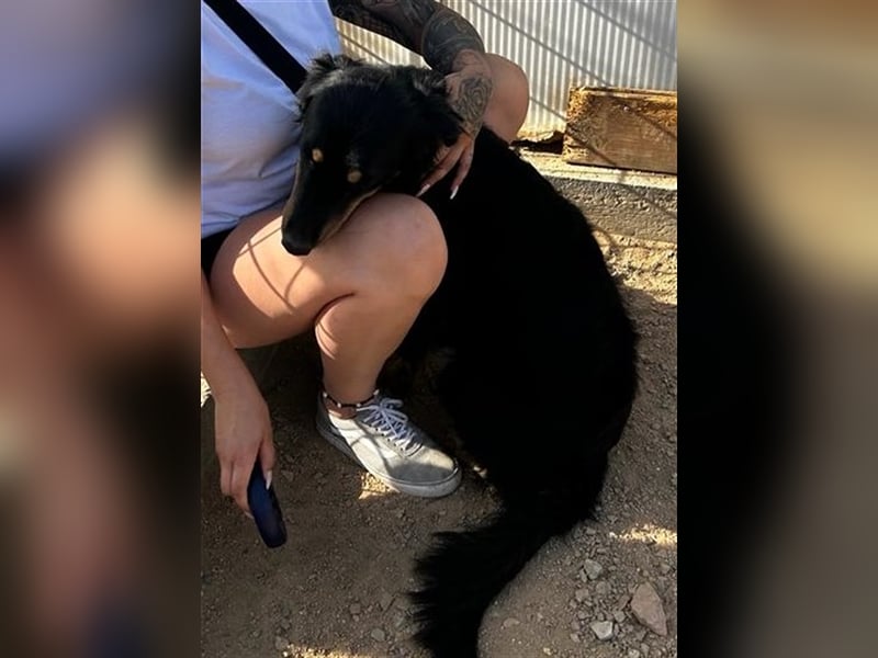 Mel - braucht nochmal Glück