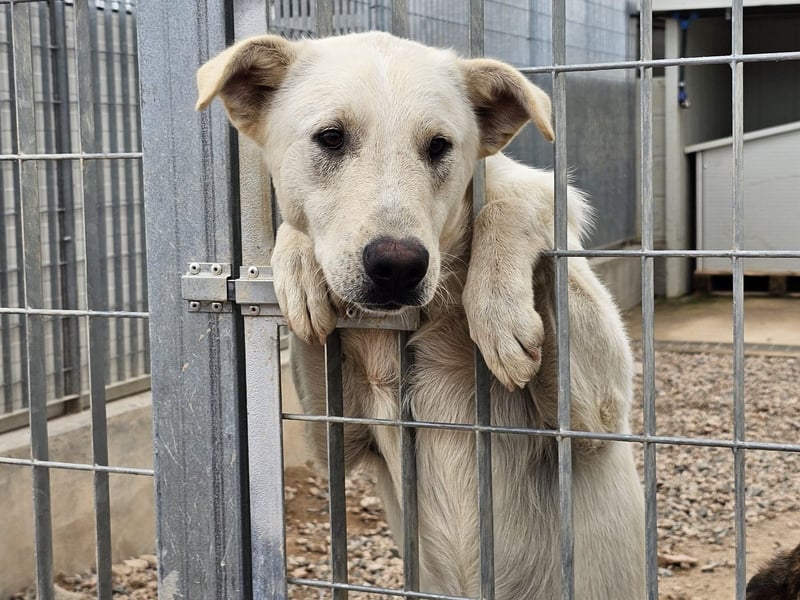 Xander - ein 6`er im Lotto