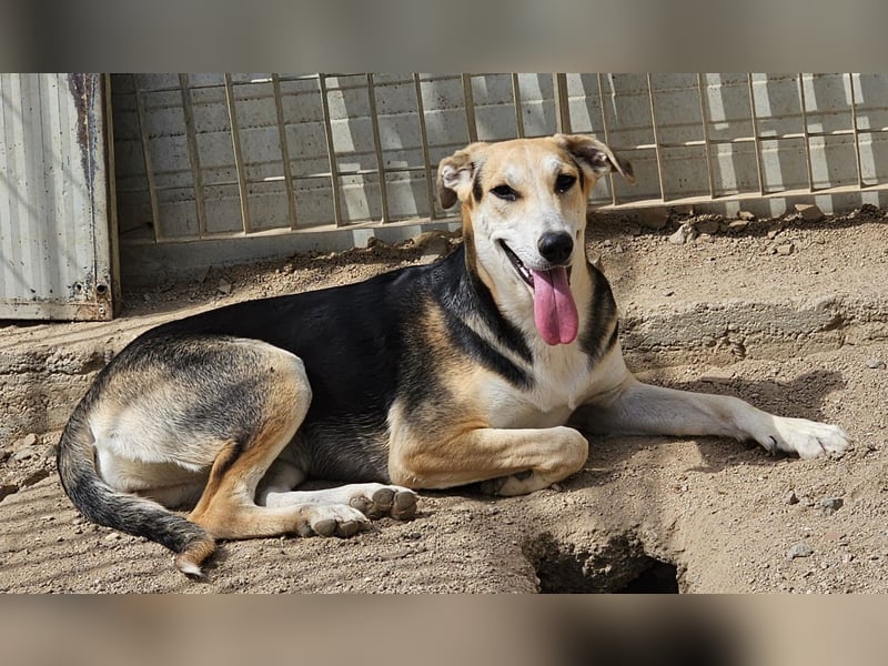 Roxy - mein Köfferchen ist schon gepackt