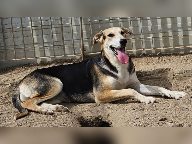 Roxy - mein Köfferchen ist schon gepackt