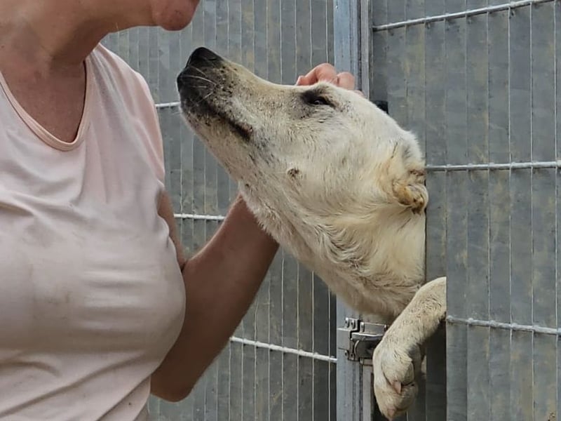 Xander - ein 6`er im Lotto