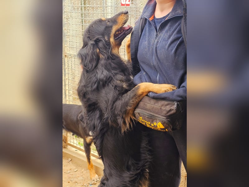 Mel -offen, menschenbezogen, aktiv