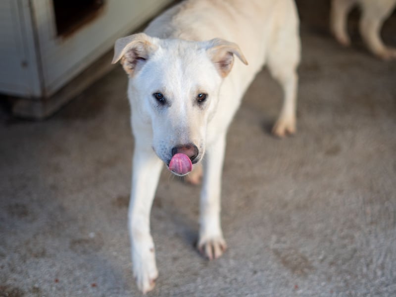 Xander - ein 6`er im Lotto