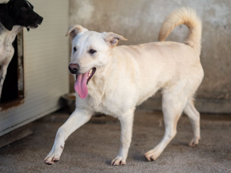 Xander - ein 6`er im Lotto