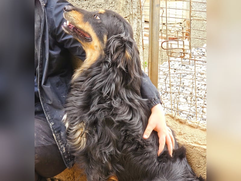 Mel -offen, menschenbezogen, aktiv