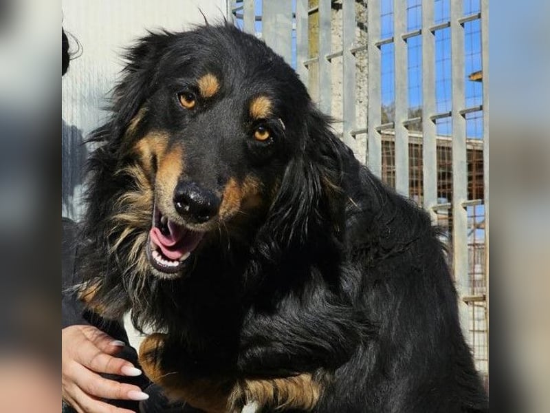 Mel -offen, menschenbezogen, aktiv