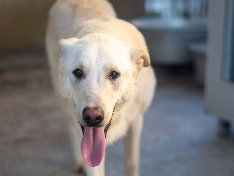 Xander - ein 6`er im Lotto