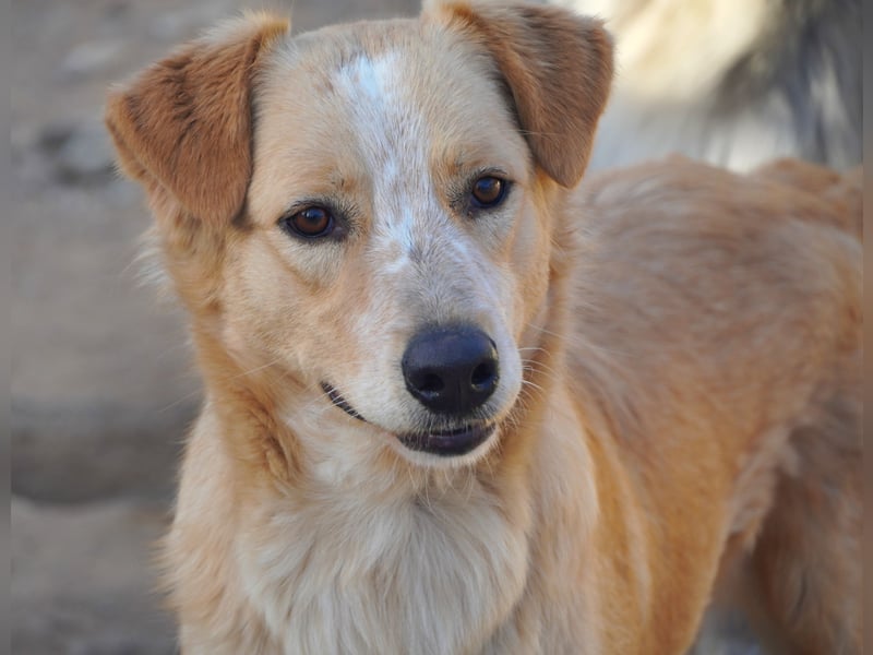 Ziguli - auf dem Weg ins Leben