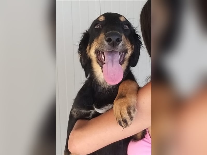 Mel - braucht nochmal Glück