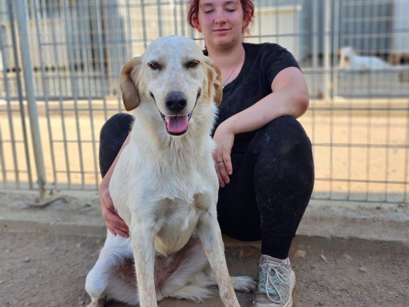 Paulette - das Tierheim fordert seinen Tribut