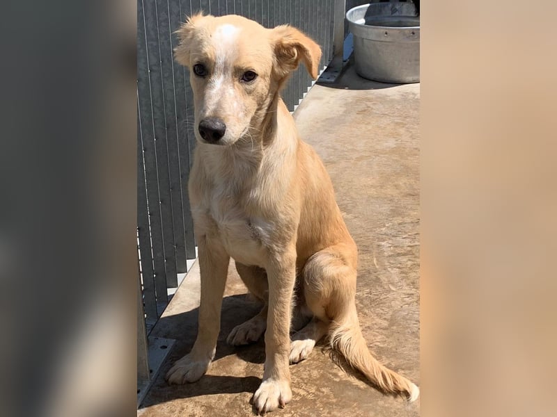 Ziguli - auf dem Weg ins Leben