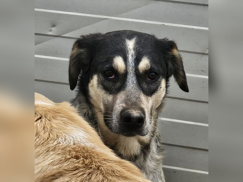 Mig - Wunder gesucht