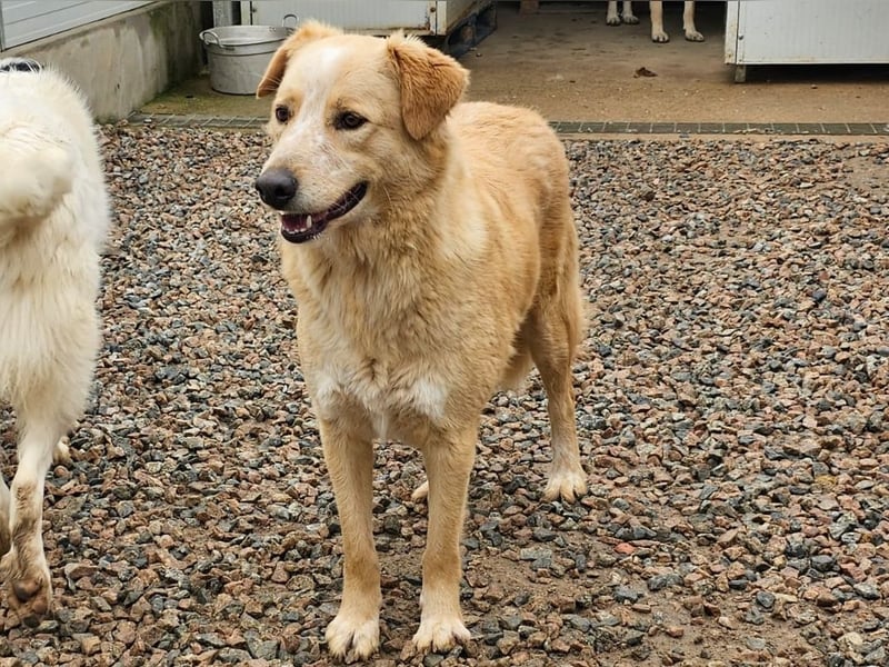 Ziguli - auf dem Weg ins Leben