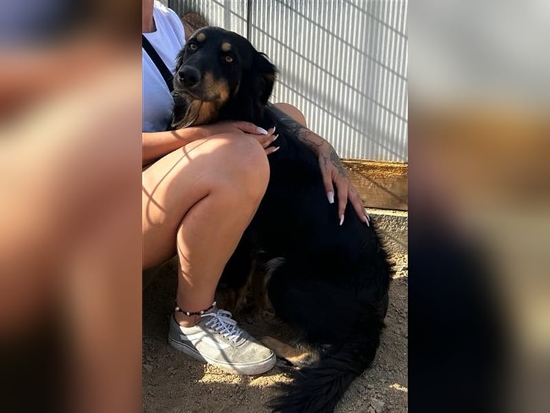 Mel - braucht nochmal Glück