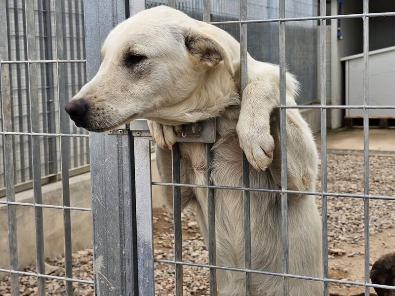 Xander - ein 6`er im Lotto