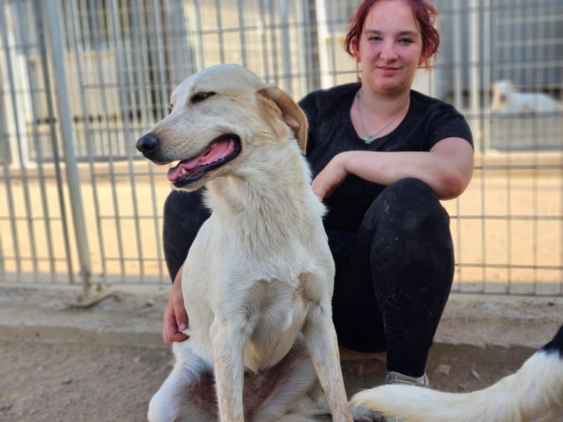 Paulette - das Tierheim fordert seinen Tribut