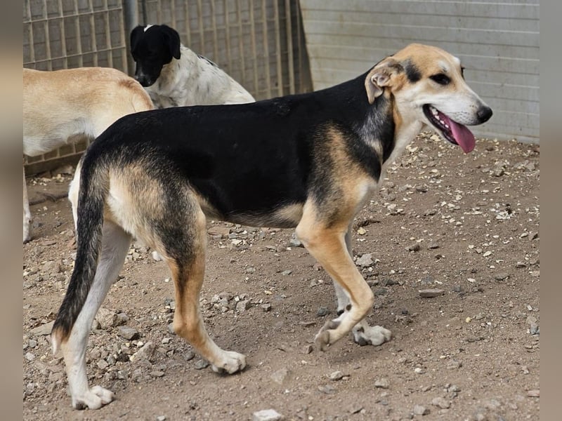 Roxy - mein Köfferchen ist schon gepackt