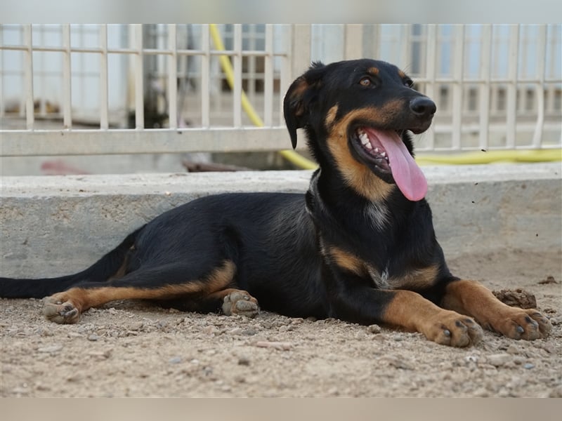 Mel - braucht nochmal Glück