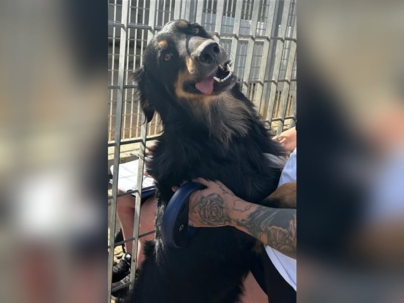 Mel - braucht nochmal Glück