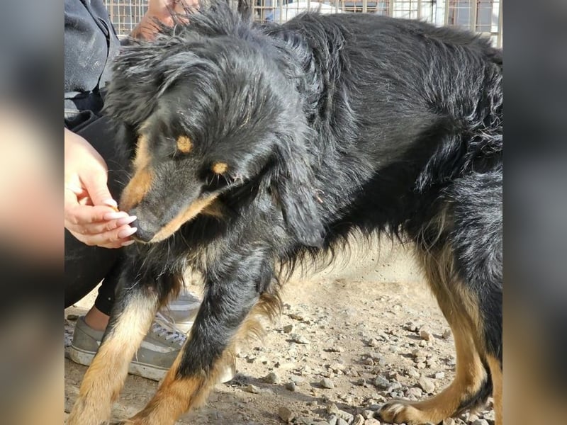 Mel -offen, menschenbezogen, aktiv