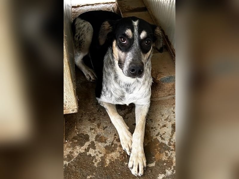 Mig - Wunder gesucht