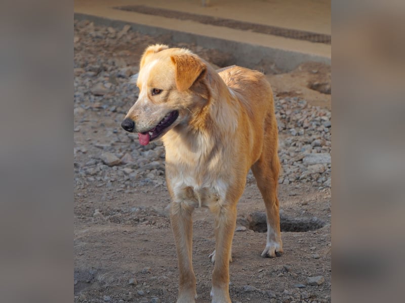 Ziguli - auf dem Weg ins Leben
