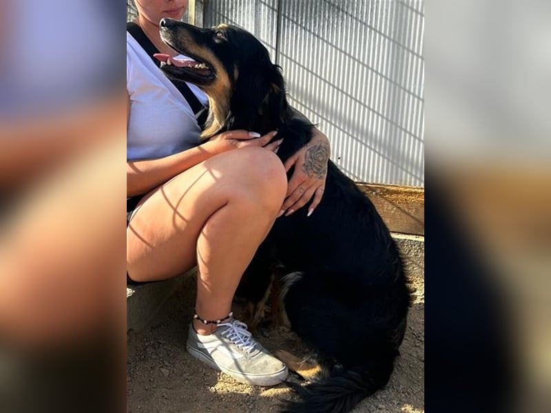 Mel - braucht nochmal Glück